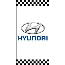 Banner Hyundai Blanco Cuadros Image