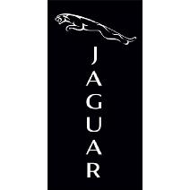 Banner Jaguar Negro Image