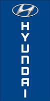 Banner-Hyundai-Azul